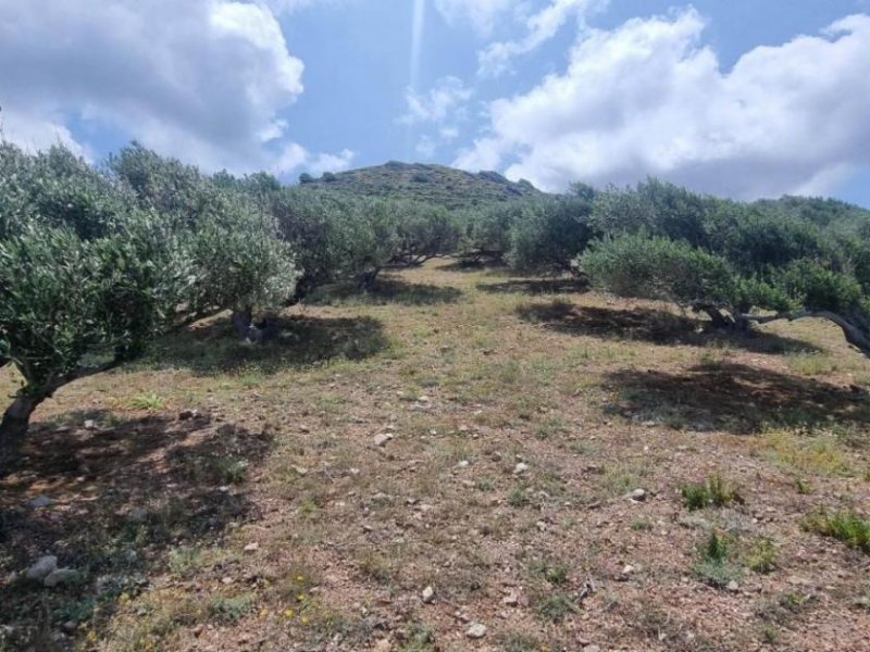 Roussa Ekklisia Kreta, Roussa Ekklisia: Baugrundstück mit Meerblick zu verkaufen Grundstück kaufen